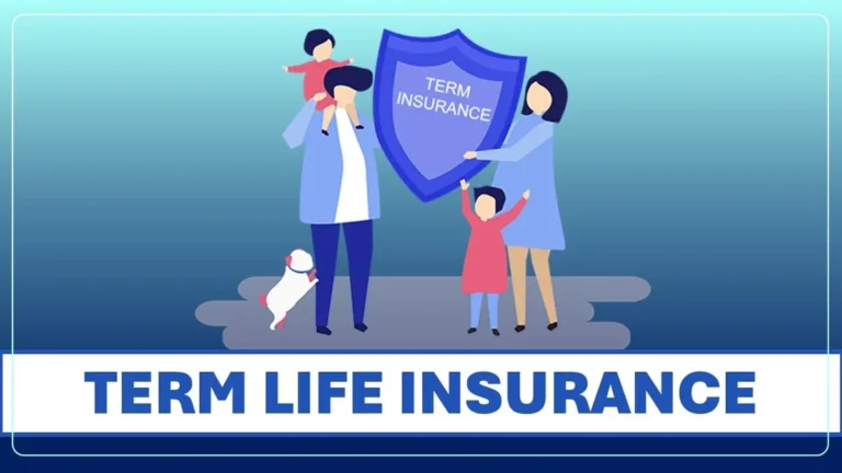 Term Life Insurance Guide