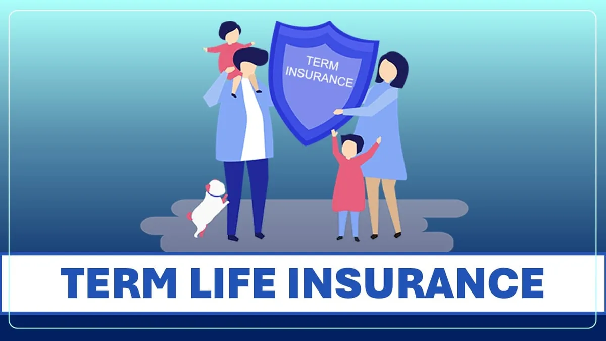 Term Life Insurance Guide